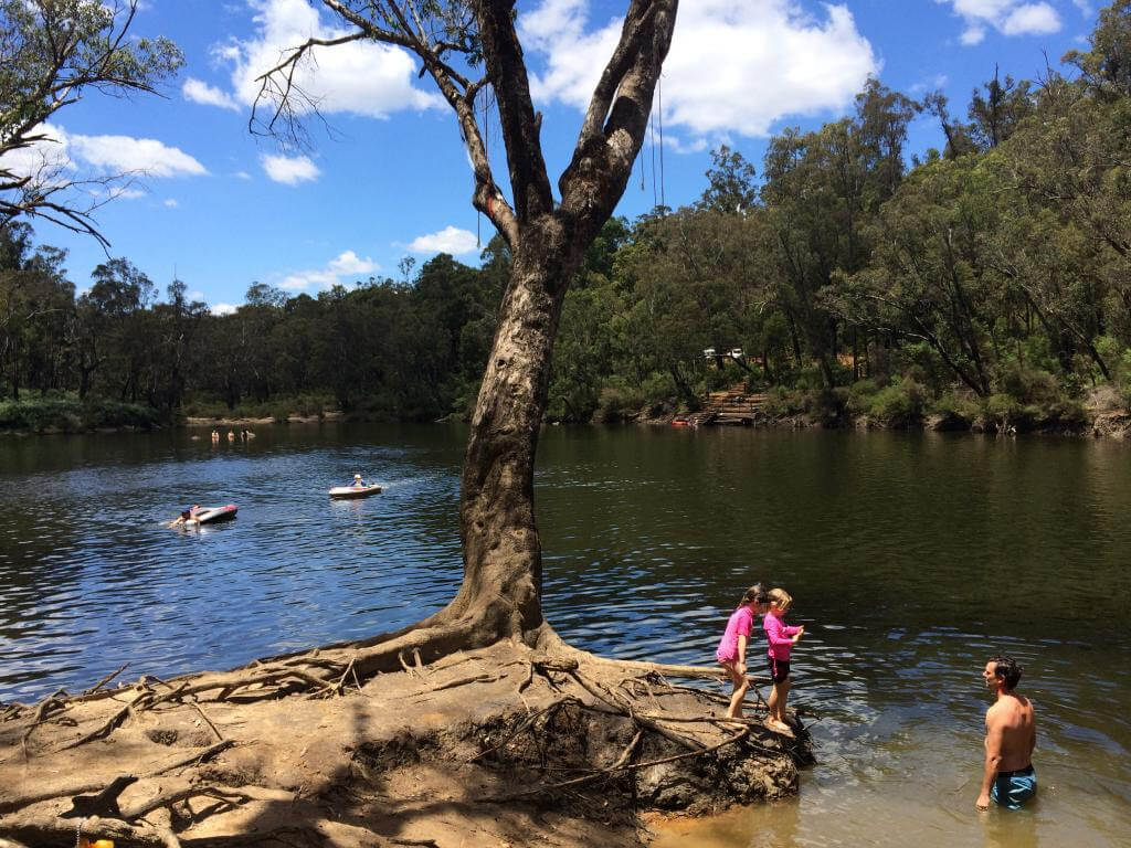 8 Campgrounds at Lane Poole Reserve in Dwellingup Camping